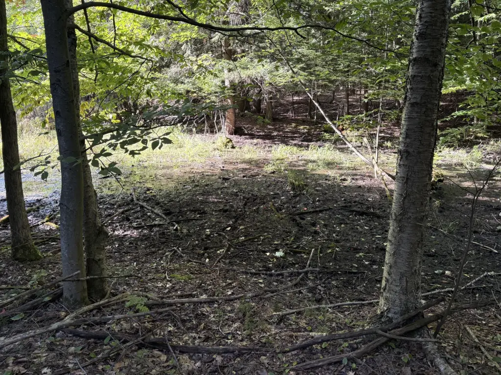 Picture 18