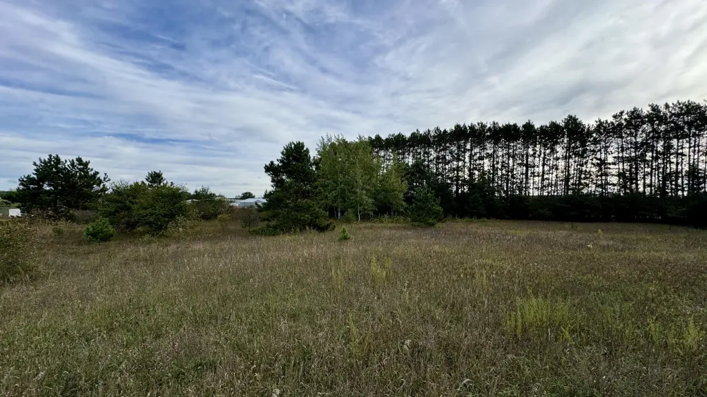 Picture 11