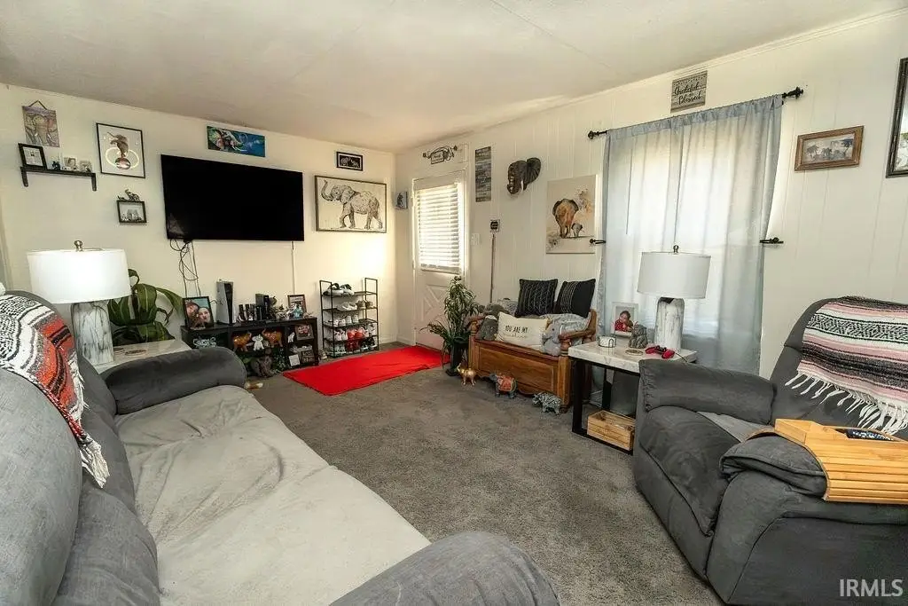 Picture 7