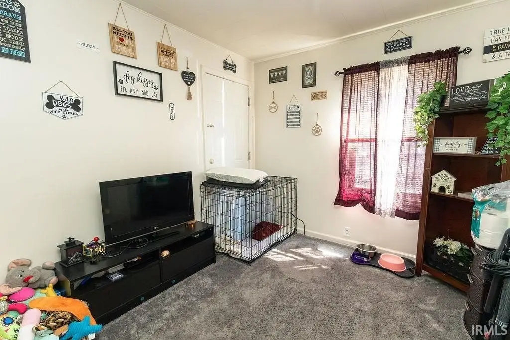 Picture 14