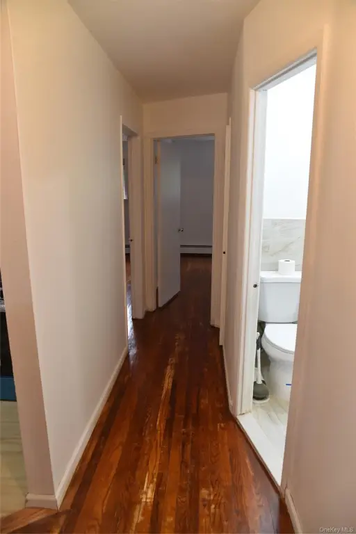 Picture 27