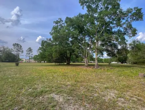 Prime Acreage in Bell, Florida