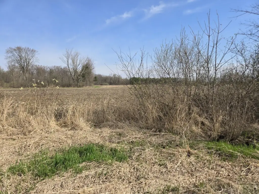 Picture 8