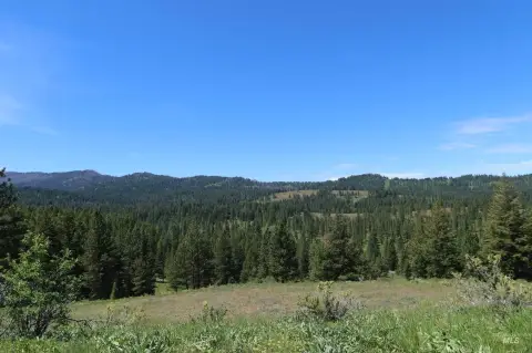 32 Acres Bordering Forest Service