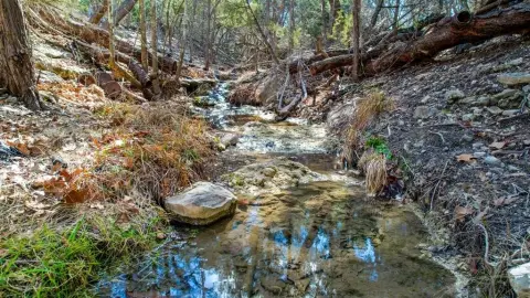 Kerrville Land with Live Water