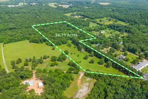 Hallsville Acreage: Dream Home or Development