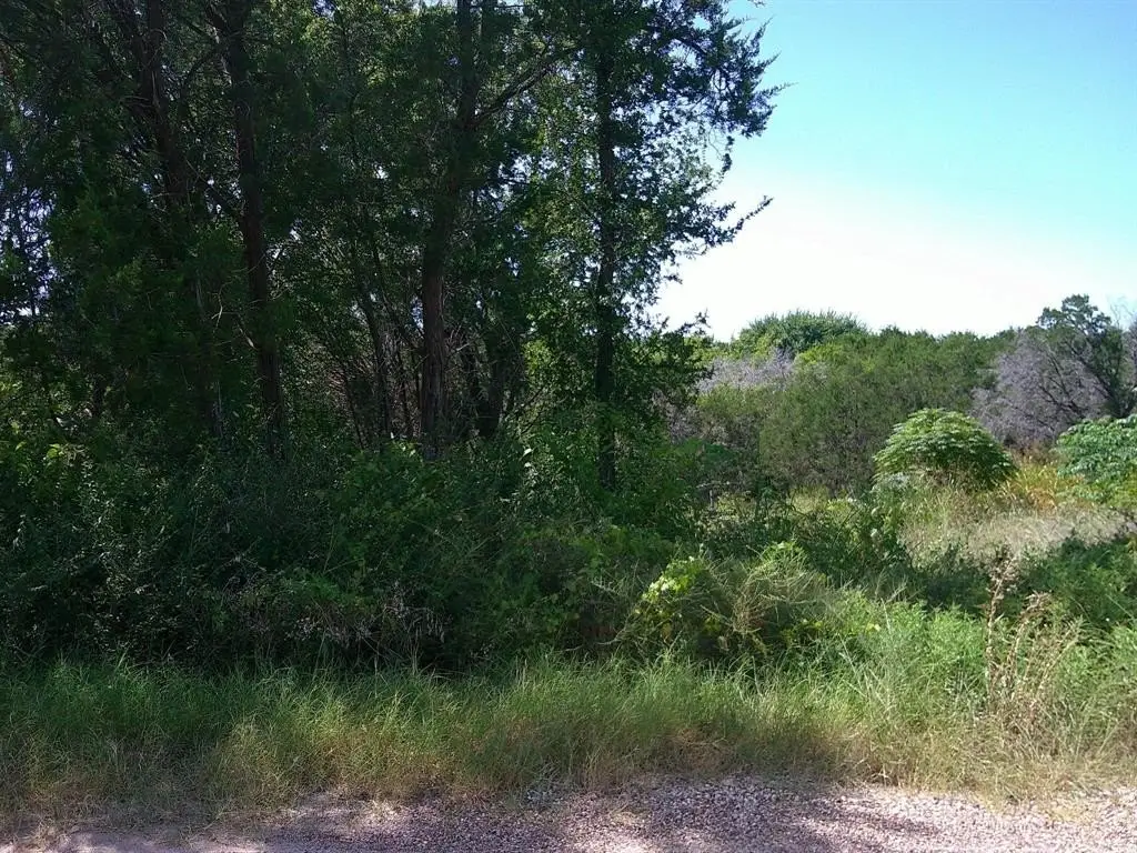Picture 3