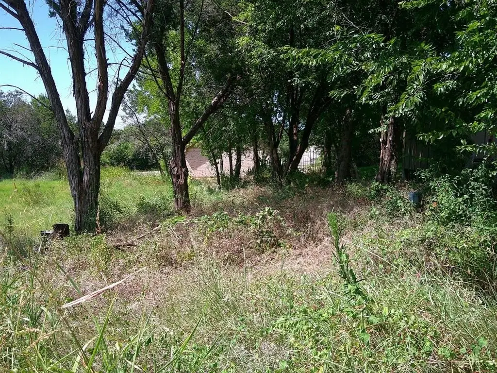 Picture 6