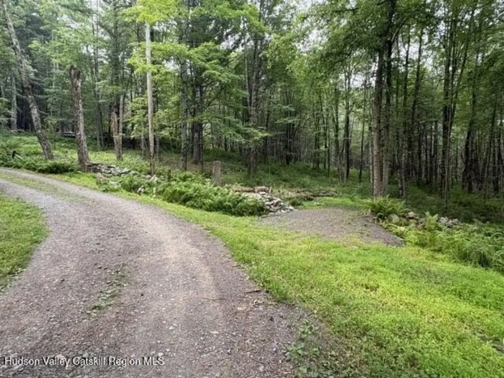 Picture 5