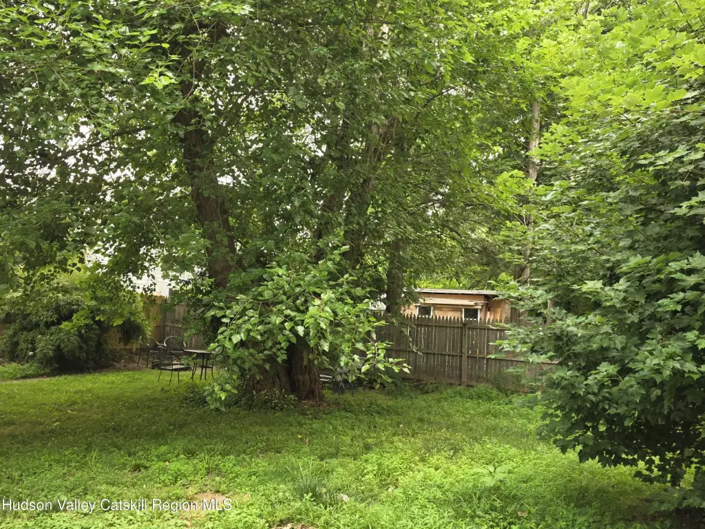 Picture 43