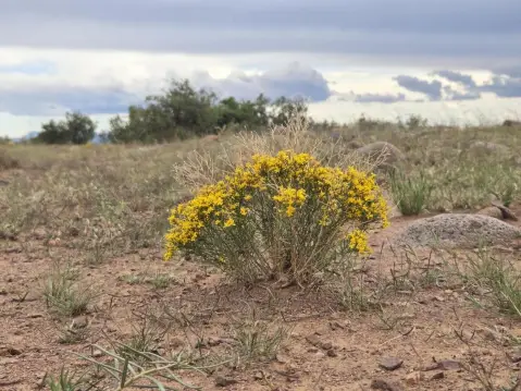 Expansive Land with Panoramic Views