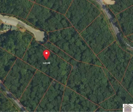 Wooded Lot Near Kentucky Lake