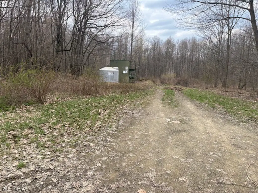 Picture 9