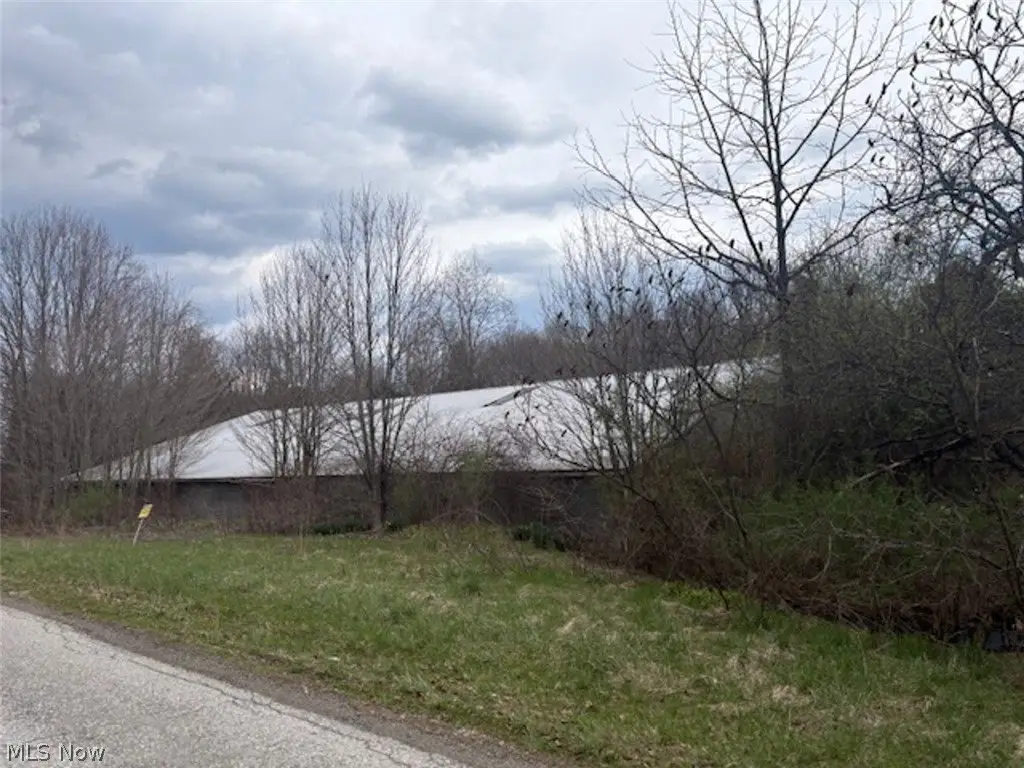 Picture 4