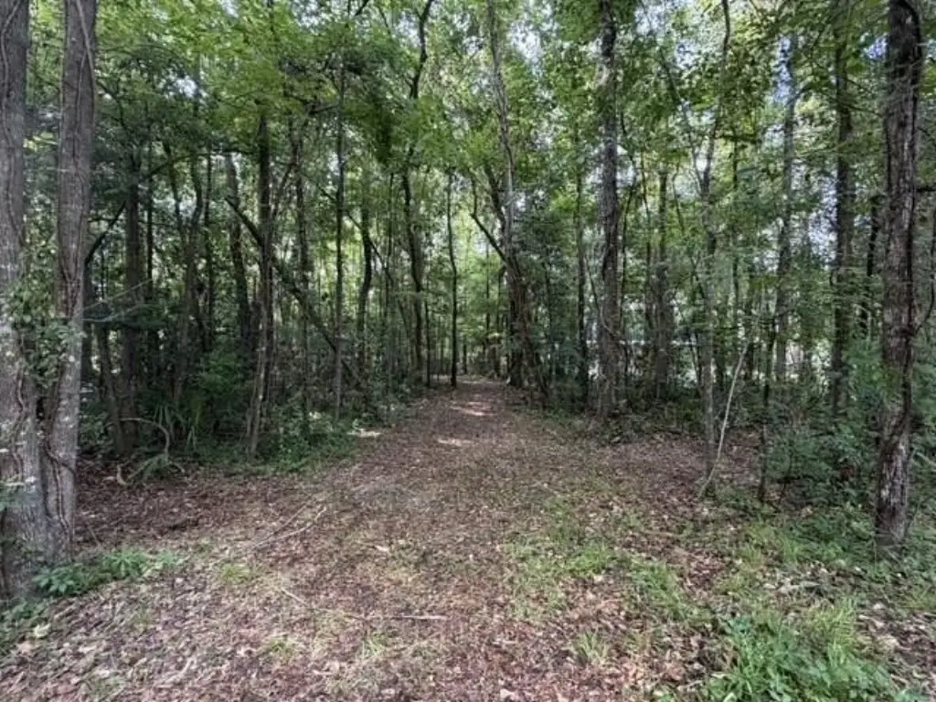 Picture 4