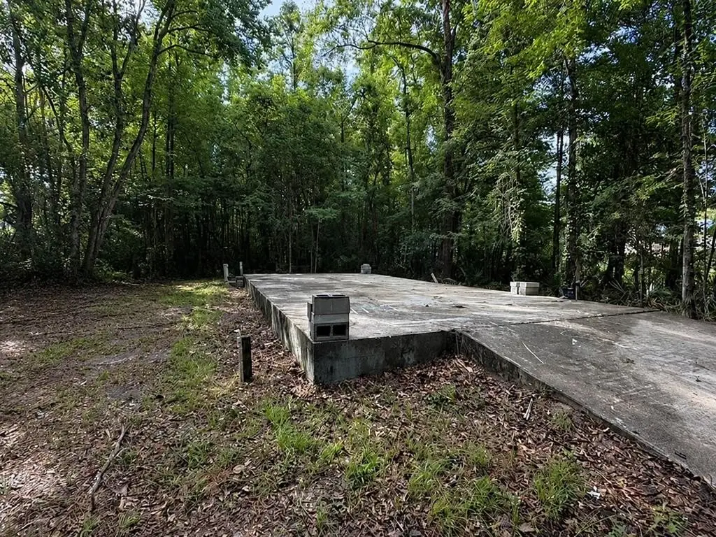 Picture 3