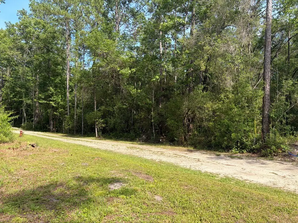 Picture 3