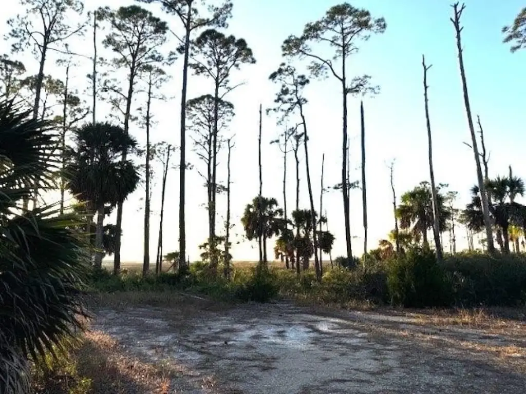 Picture 4