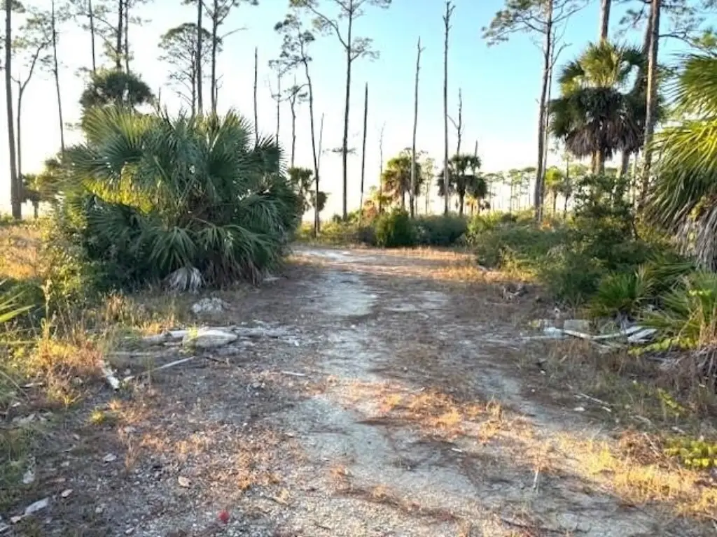 Picture 3