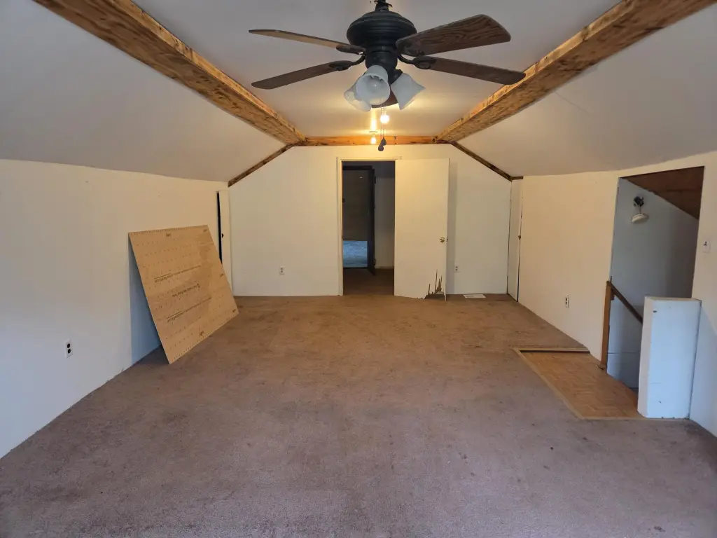 Picture 8