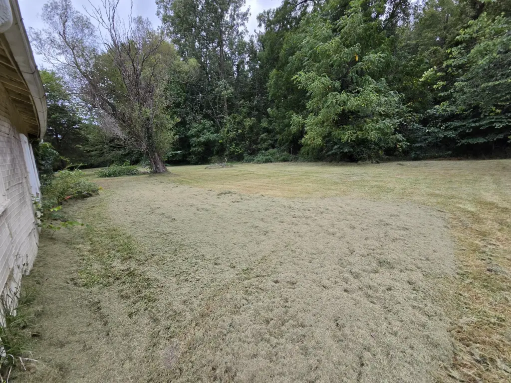 Picture 33