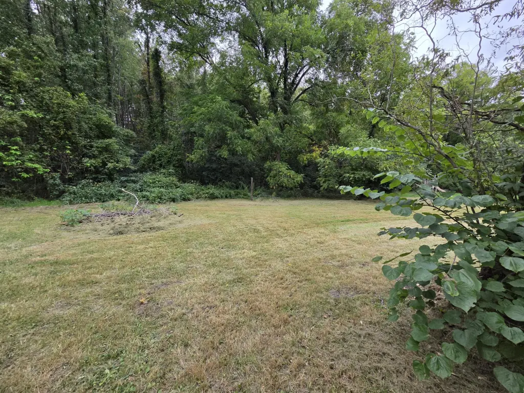 Picture 35