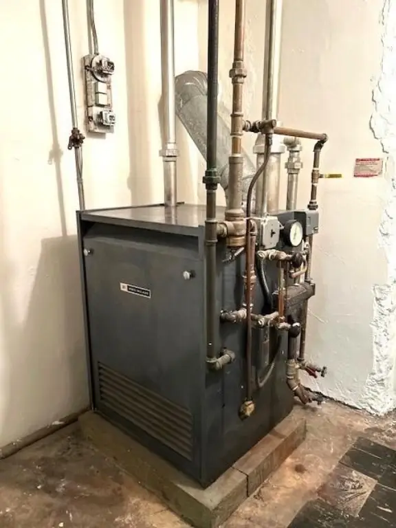 Picture 12