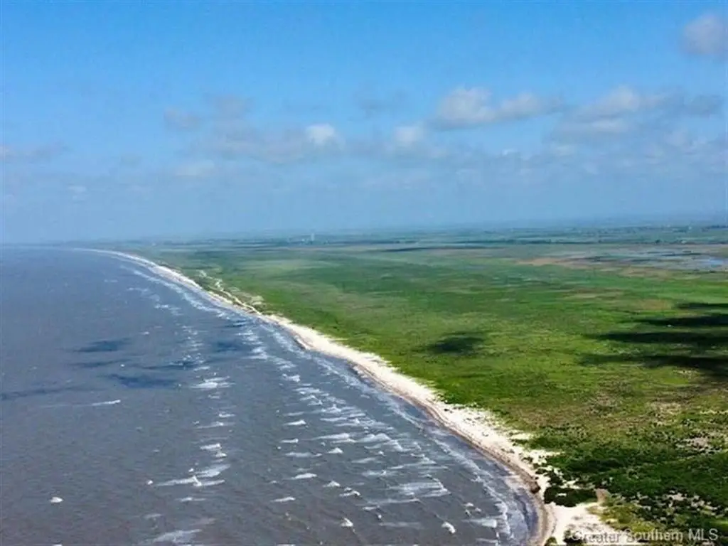 Picture 7