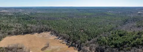 699 Acres Timberland Near Tyler