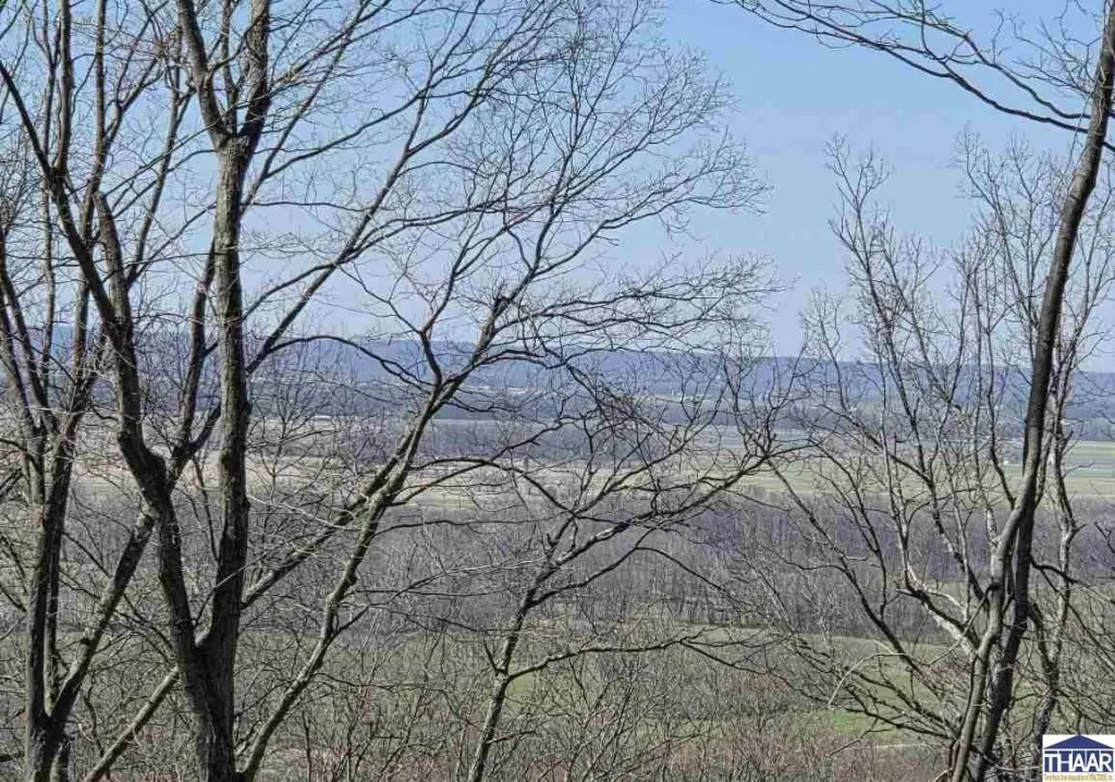 Picture 17