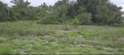 Commercial Land in Lake Community