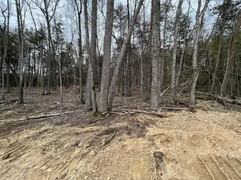 Residential Land in Laurel County