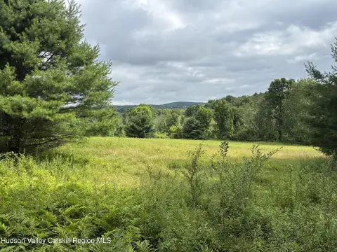 Residential Land with Wooded Acreage