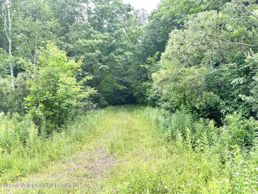 Picture 11