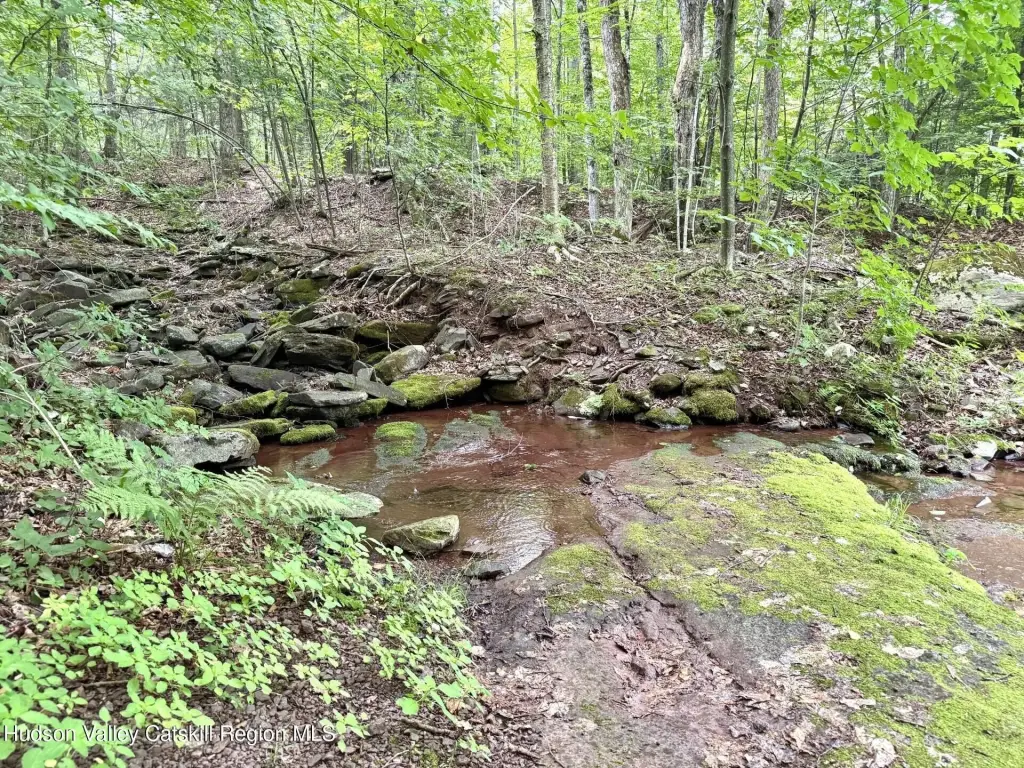 Picture 13