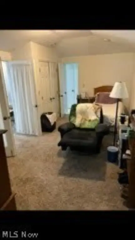 Picture 3