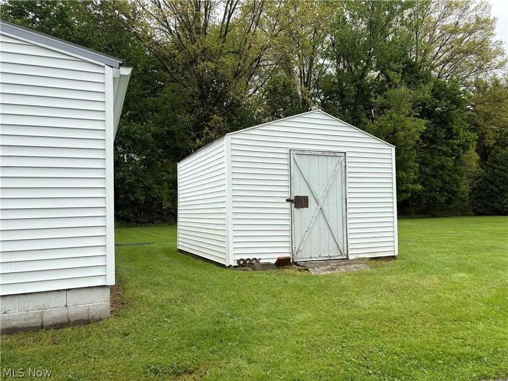 Picture 5