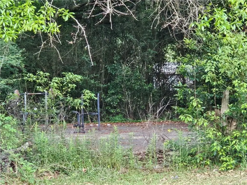 Picture 3