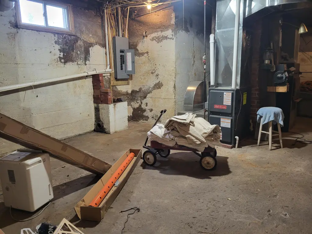 Picture 47