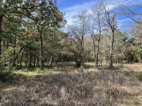 Unrestricted Land in Navasota, TX