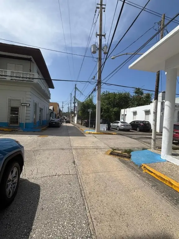 Picture 11