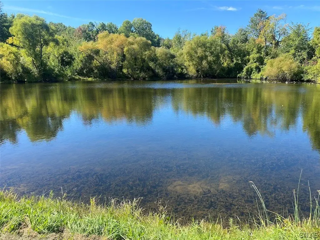 Picture 23
