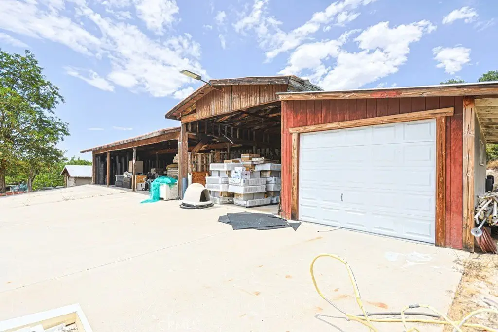 Picture 3