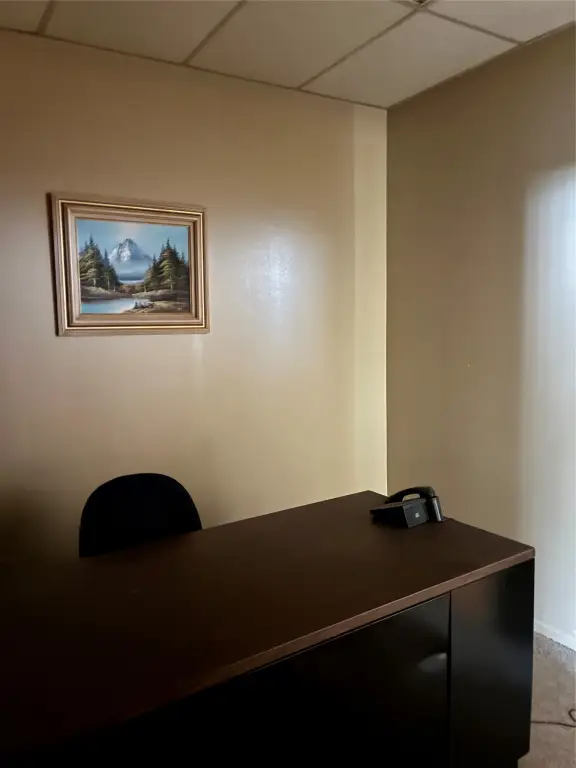 Picture 3