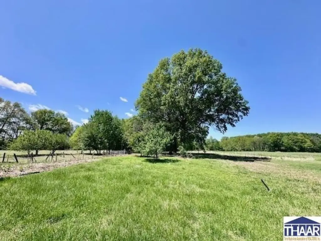 Picture 29