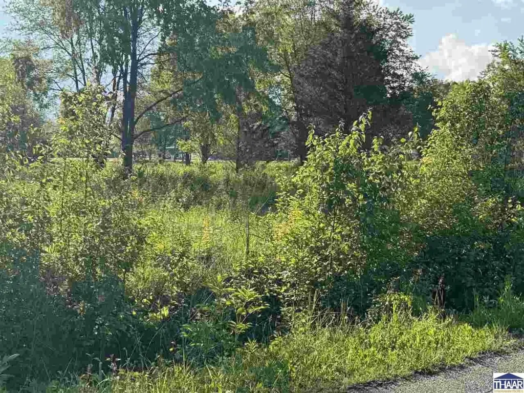 Picture 6