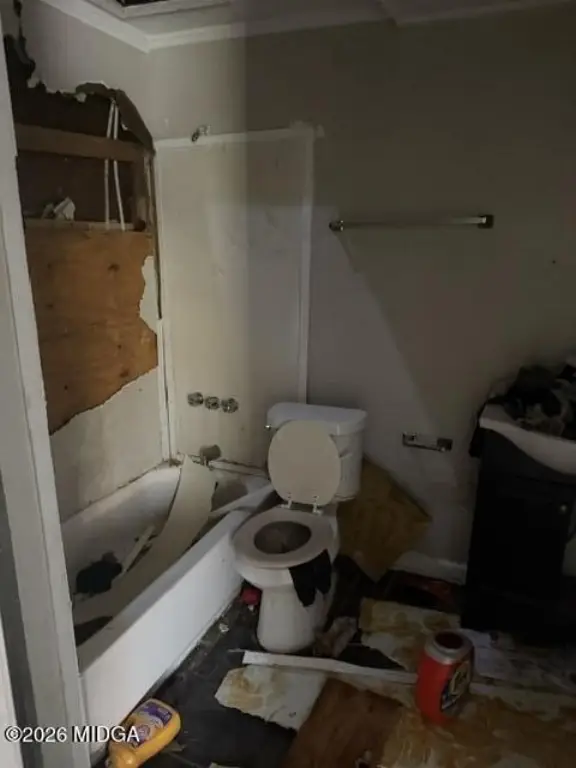 Picture 11