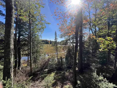 Watersmeet Vacant Land Near Cisco Chain