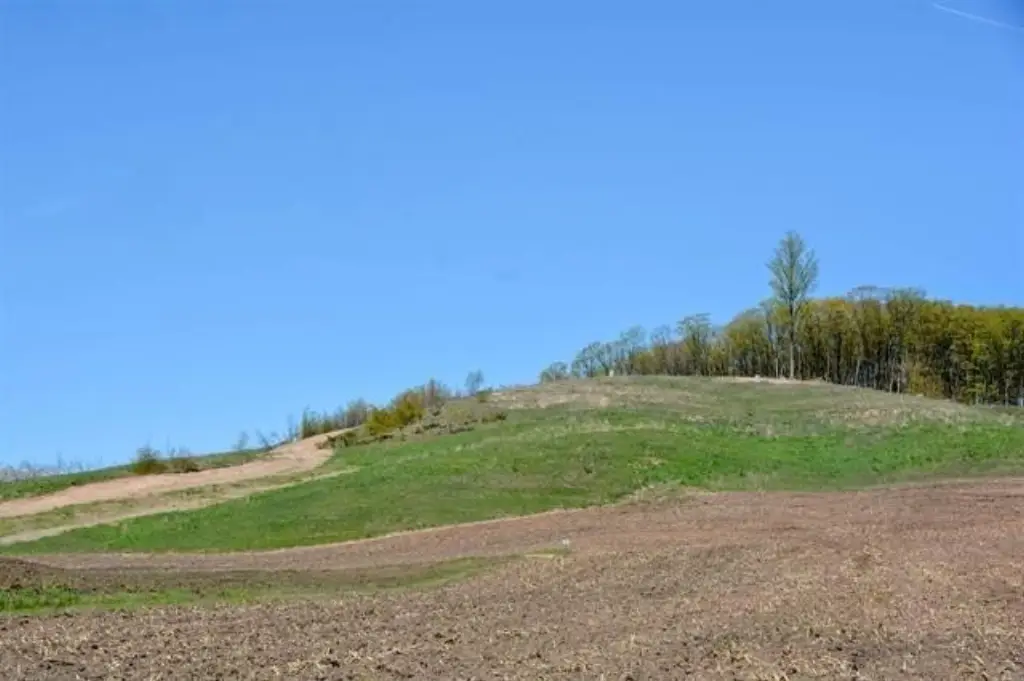 Picture 41