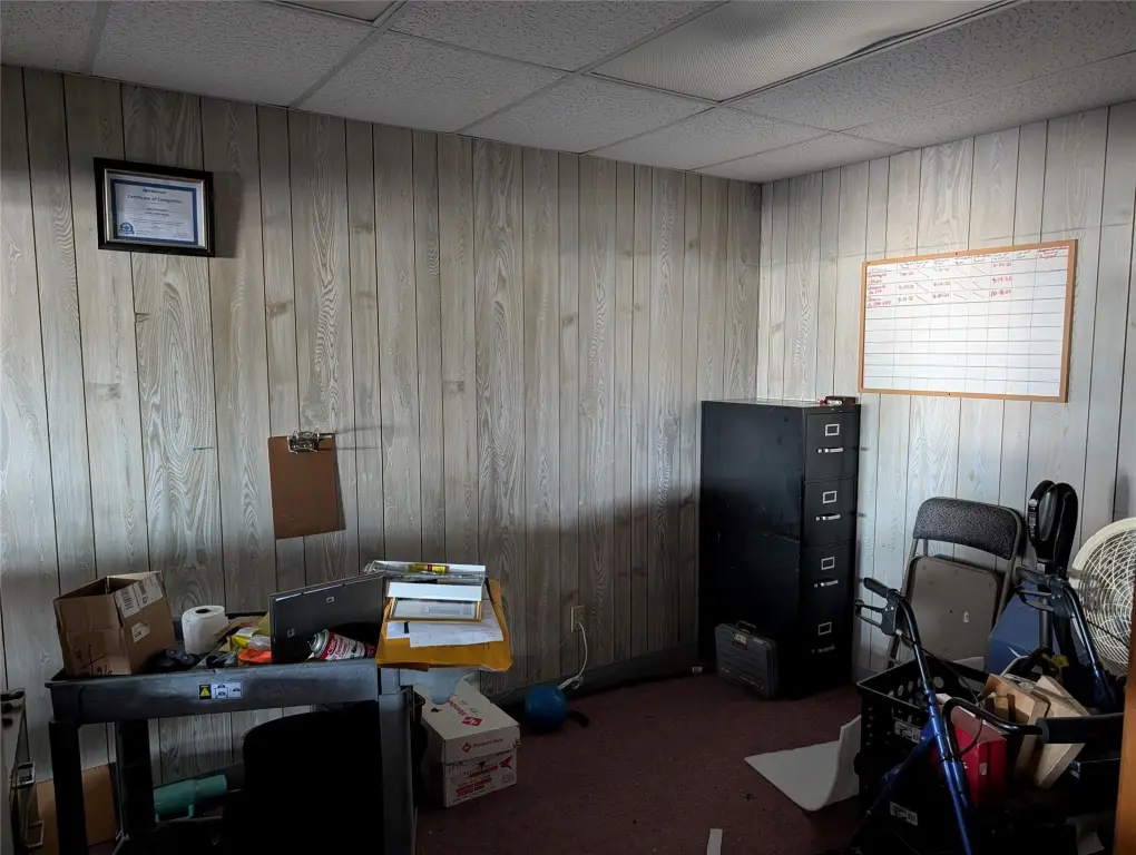 Picture 6
